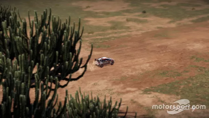 Imagen del WRC 9