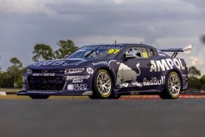 Gen3 Chevrolet Camaros