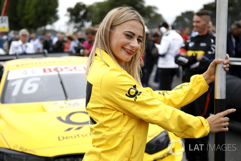 Chica de la parrilla de Timo Glock, BMW Team RMG