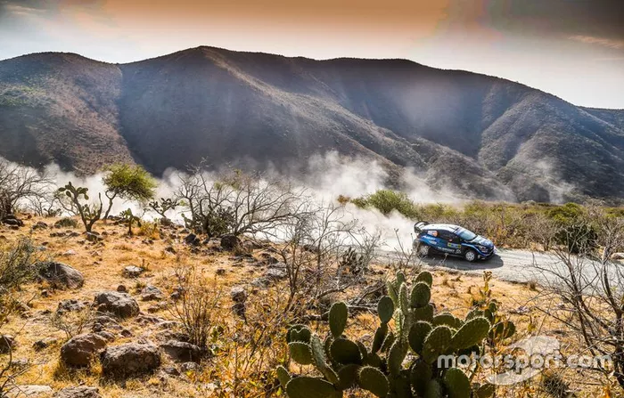 Elfyn Evans, Scott Martin, M-Sport Ford, Ford Fiesta WRC 2019