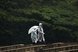 Fans in the rain