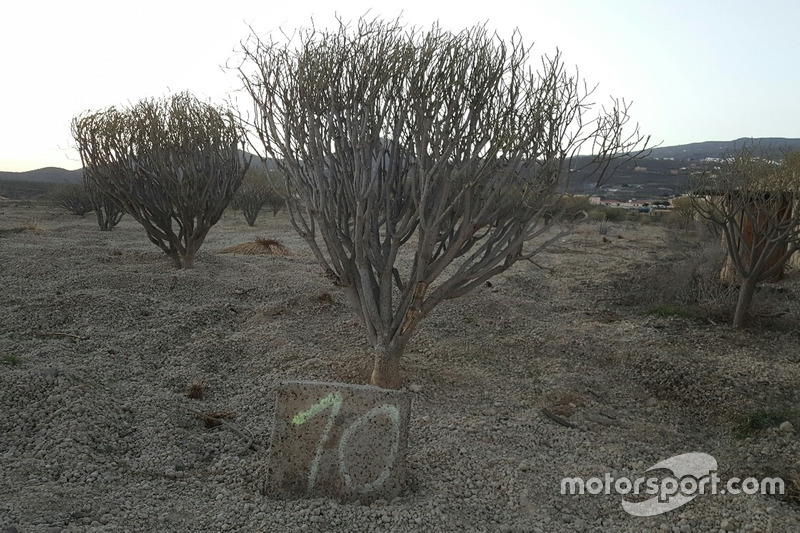 Pietra miliare lungo il tracciato