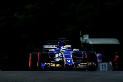 Маркус Ерікссон, Sauber C36