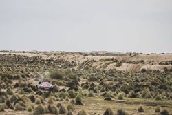 #303 Peugeot Sport Peugeot 3008 DKR: Carlos Sainz, Lucas Cruz