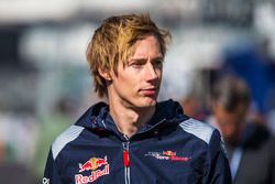 Brendon Hartley, Scuderia Toro Rosso