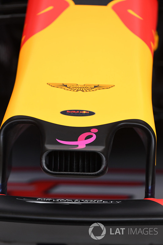 Red Bull Racing RB13 nose detail