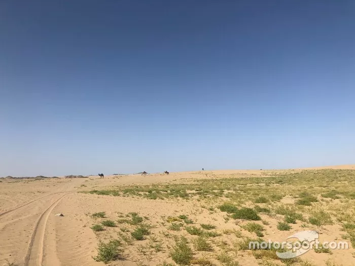 Etapa 7 (12 de janeiro): de Riade a Wadi Al-Dawasir (741 km, sendo 546 cronometrados)