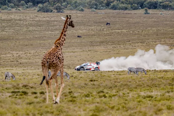 Kalle Rovanpera, Jonne Halttunen, Toyota Gazoo Racing WRT Toyota GR Yaris Rally1