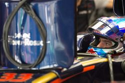 Max Verstappen, Scuderia Toro Rosso