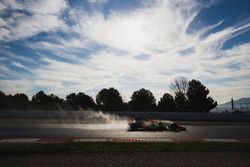 Stoffel Vandoorne, McLaren MCL32