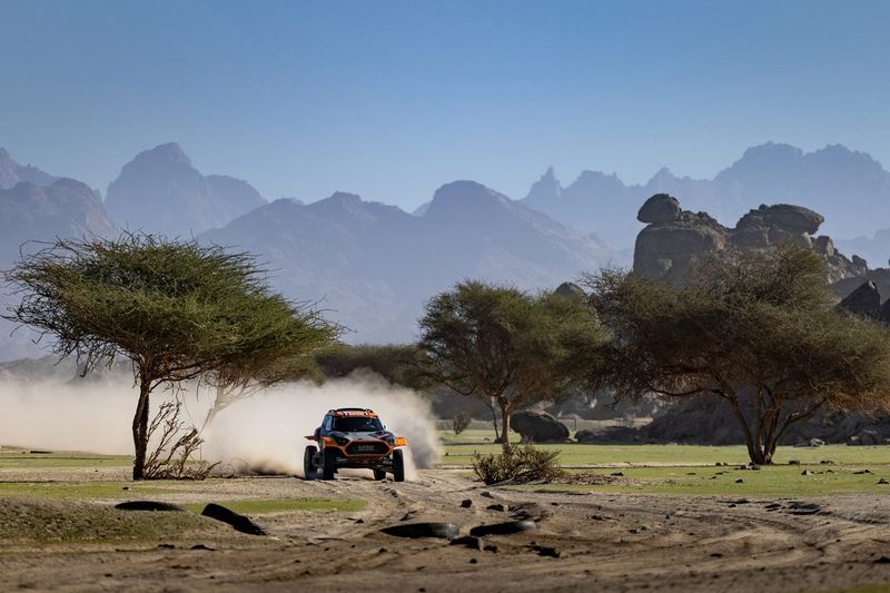 #222 X-Raid Mini JCW Mini : Guillaume De Mevius, Mathieu Baumel