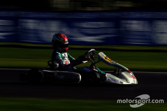 David Vidales, Tony Kart