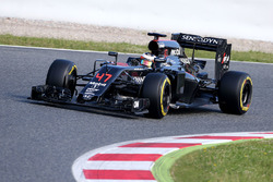 Стоффель Вандорн, тестовый и резервный пилот McLaren MP4-31