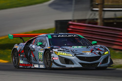 #86 Meyer Shank Racing with Curb-Agajanian Acura NSX, GTD: Katherine Legge, Alvaro Parente