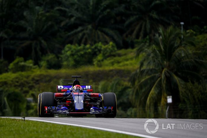 Pierre Gasly, Scuderia Toro Rosso STR12