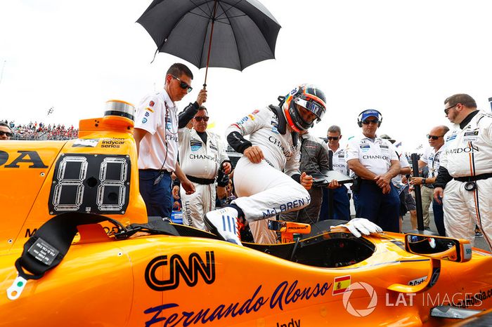 Fernando Alonso, Andretti Autosport Honda