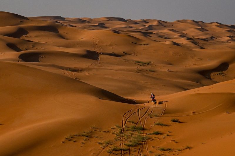 #47 Red Bull KTM Factory Racing: Kevin Benavides