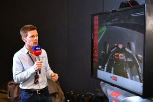 Anthony Davidson, Sky TV