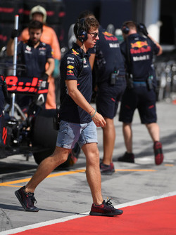 Pierre Gasly, Red Bull Racing Test Driver