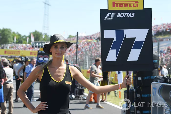 Grid girl