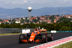 Стоффель Вандорн, McLaren MCL32