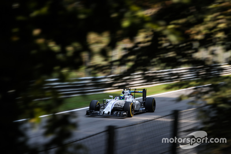 11. Felipe Massa, Williams FW38
