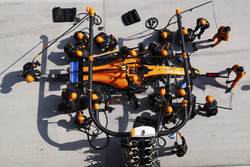 Пит-стоп: Стоффель Вандорн, McLaren MCL33