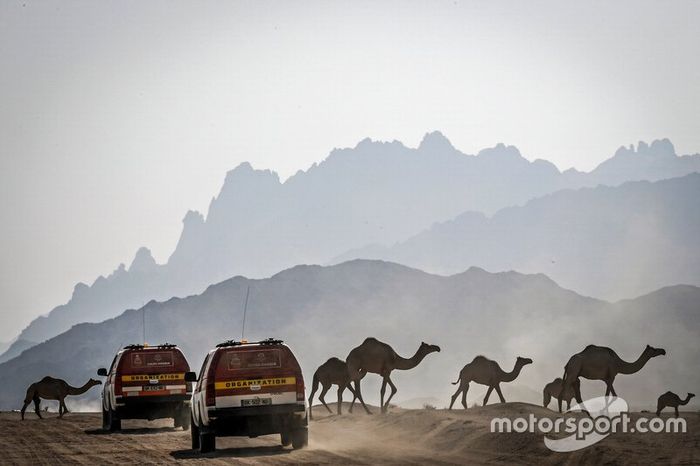 Reconocimientos del Dakar 2020