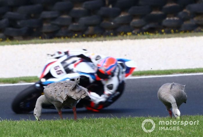 Tom Sykes, BMW Motorrad WorldSBK Team, Geese