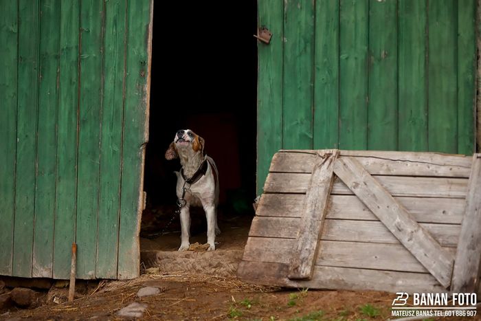 Testy przed sezonem - Płachytka, Tochowicz, Nowak 