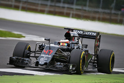 Stoffel Vandoorne, McLaren MP4-31, Testfahrer