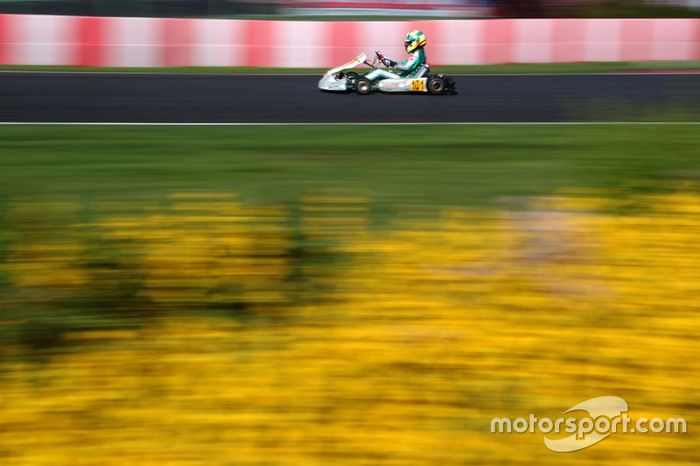 Pedro Hiltbrand, Tony Kart