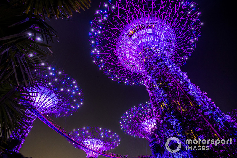 Pemandangan Supertree Grove di Gardens by the Bay