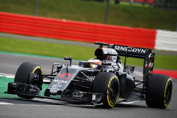 Stoffel Vandoorne, McLaren MP4-31 Test and Reserve Driver
