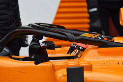Стоффель Вандорн, McLaren MCL33