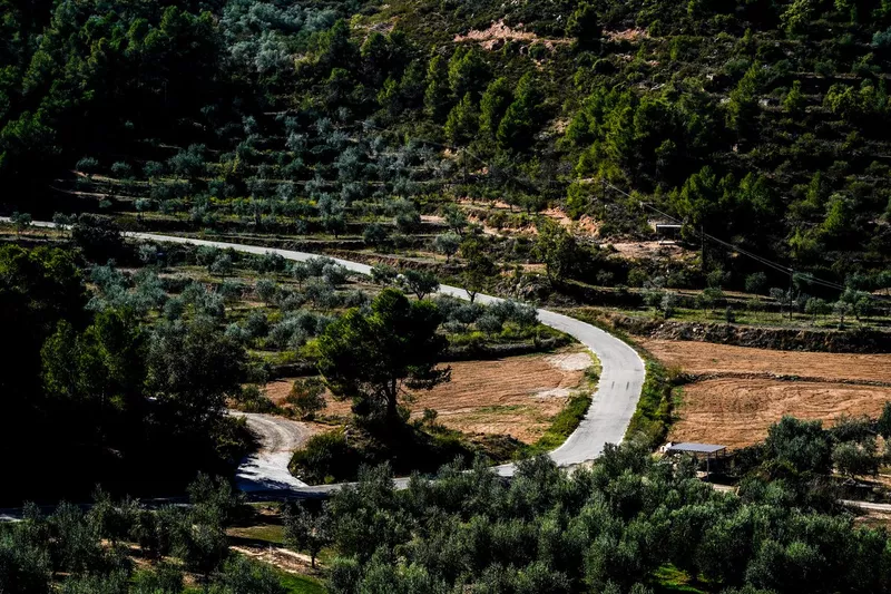L'atmosphère du rallye