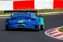 #44 Falken Motorsports, Porsche 991 GT3 R: Peter Dumbreck, Wolf Henzler, Martin Ragginger, Alexandre Imperatori