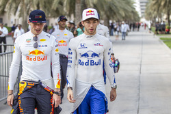 Max Verstappen, Red Bull Racing and Pierre Gasly, Scuderia Toro Rosso