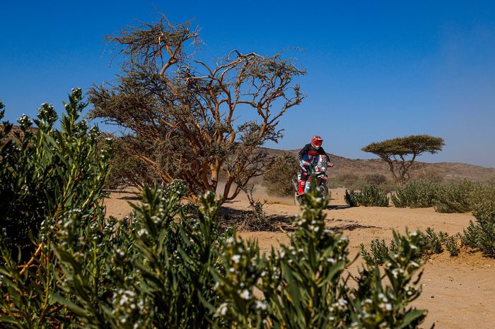 #35 Nomadas Adventure KTM: Juan Pablo Guillen Rivera