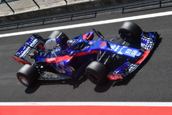 Шон Гелаель, Toro Rosso STR13