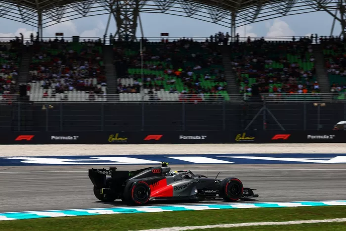Gabriel Bortoleto, Audi
