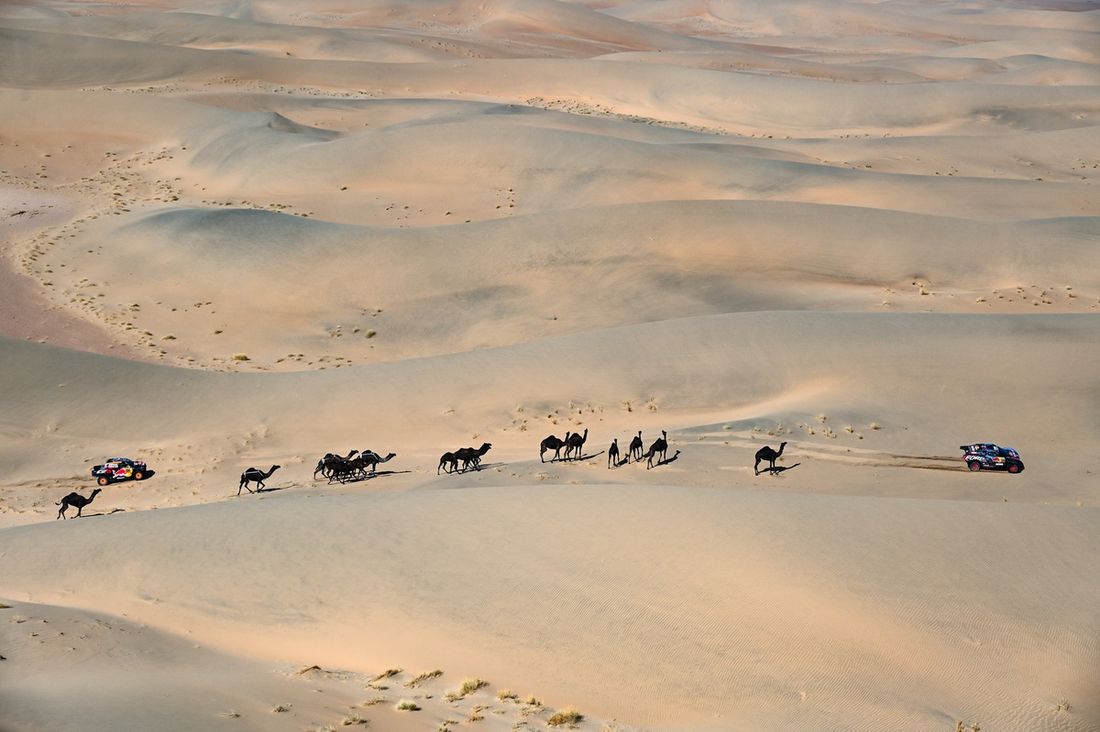 #225 Ford M-Sport Ford: Carlos Sainz, Lucas Cruz, #204 Toyota Gazoo Racing Toyota: Seth Quintero, Dennis Zenz