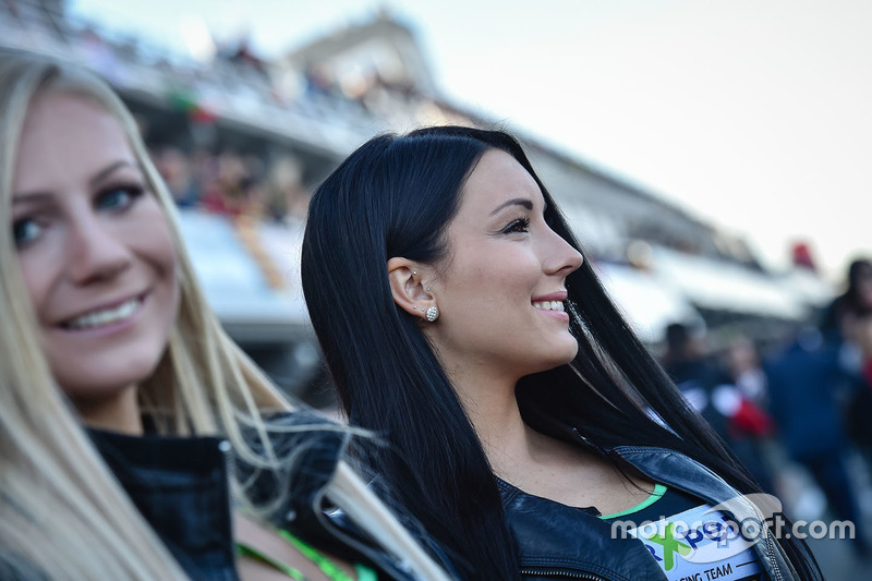 Hot grid girl