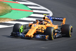 Stoffel Vandoorne, McLaren MCL33 aero boyası ile