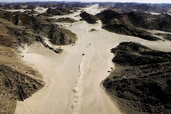 #219 The Dacia Sandriders Dacia: Sebastien Loeb, Edouard Boulanger