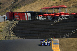 Alexander Rossi, Curb Herta - Andretti Autosport Honda