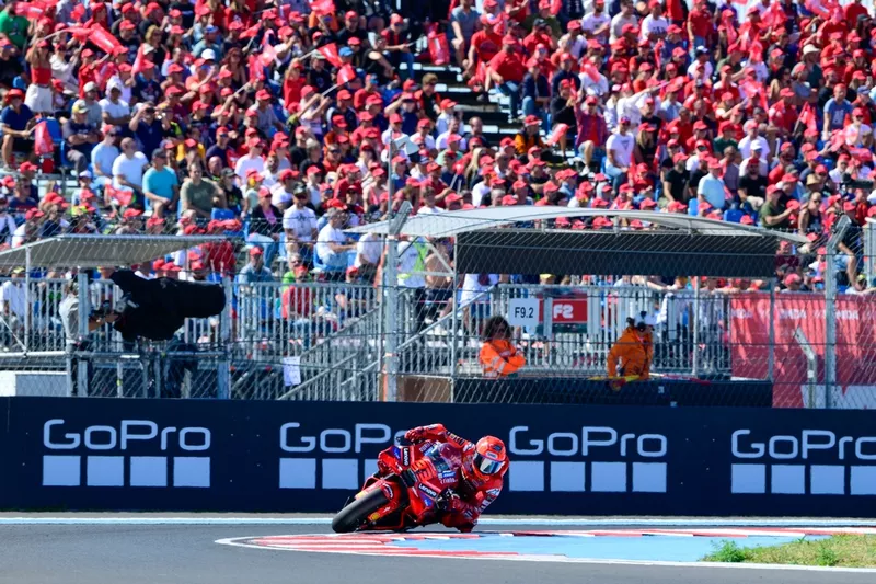 Marc Marquez, équipe Ducati