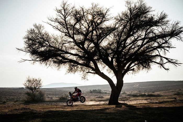 #4 Red Bull KTM Factory Racing KTM: Daniel Sanders