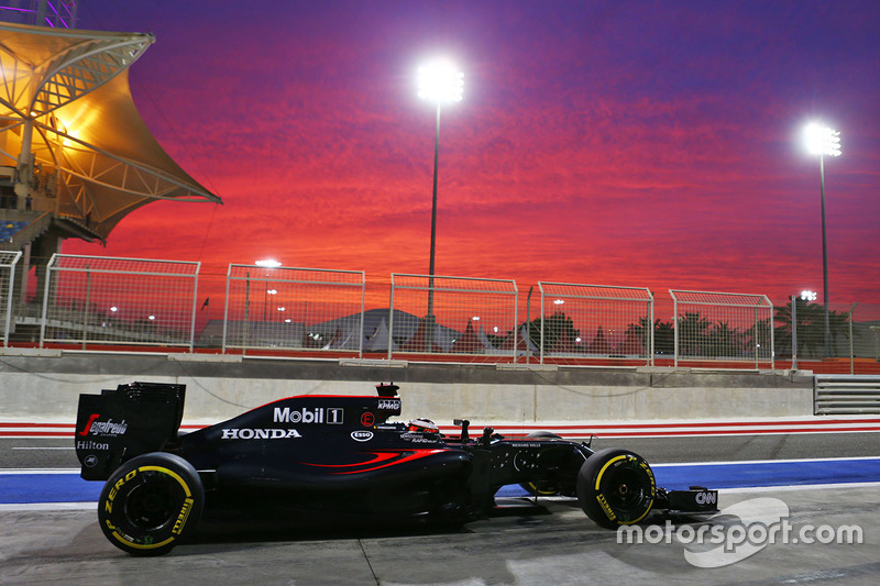 Stoffel Vandoorne, McLaren MP4-31