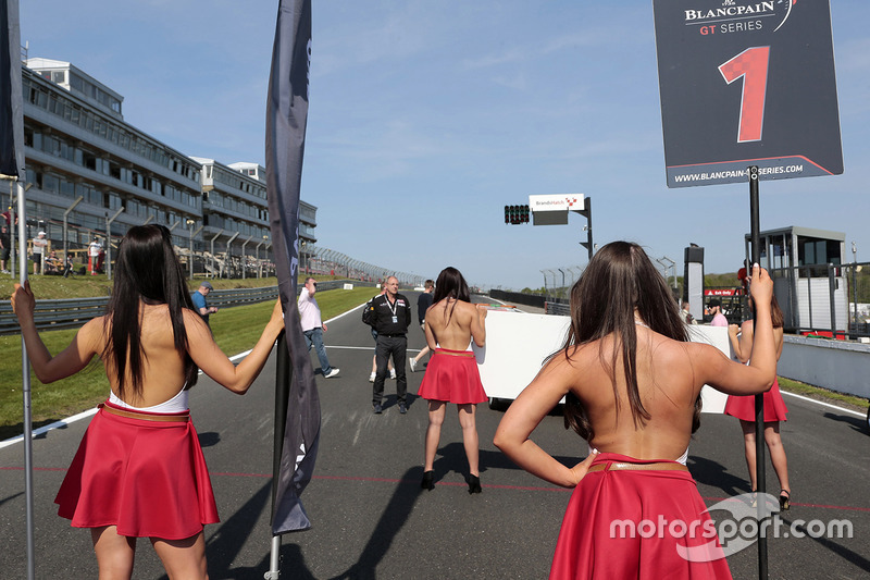 Lovely grid girls